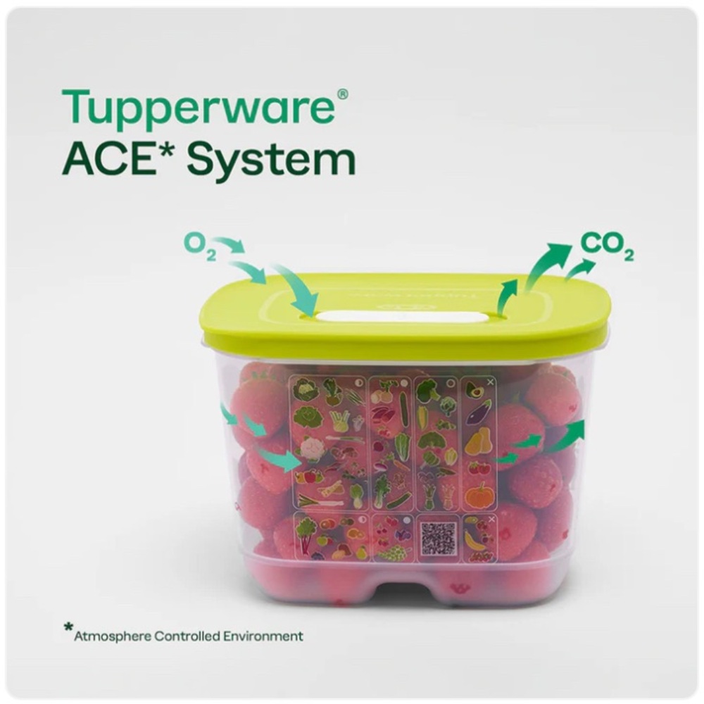Tupperware FridgeSmart Small Deep Container 1.8L - Picture 6 of 11